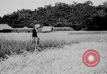 Image of Ho Chi Minh Vietnam, 1941, second 4 stock footage video 65675044085