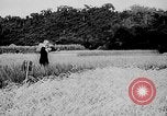 Image of Ho Chi Minh Vietnam, 1941, second 5 stock footage video 65675044085