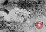 Image of Ho Chi Minh washes his feet Vietnam, 1942, second 10 stock footage video 65675044086