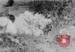 Image of Ho Chi Minh washes his feet Vietnam, 1942, second 11 stock footage video 65675044086