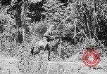 Image of Ho Chi Minh rides pony on jungle trail Vietnam, 1942, second 3 stock footage video 65675044087
