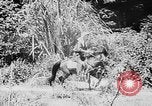 Image of Ho Chi Minh rides pony on jungle trail Vietnam, 1942, second 4 stock footage video 65675044087