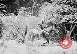 Image of Ho Chi Minh rides pony on jungle trail Vietnam, 1942, second 5 stock footage video 65675044087
