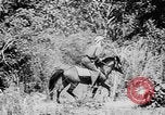 Image of Ho Chi Minh rides pony on jungle trail Vietnam, 1942, second 6 stock footage video 65675044087