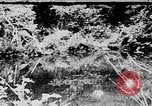 Image of Ho Chi Minh rides pony on jungle trail Vietnam, 1942, second 19 stock footage video 65675044087