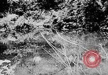 Image of Ho Chi Minh rides pony on jungle trail Vietnam, 1942, second 20 stock footage video 65675044087