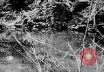 Image of Ho Chi Minh rides pony on jungle trail Vietnam, 1942, second 21 stock footage video 65675044087