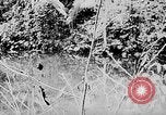 Image of Ho Chi Minh rides pony on jungle trail Vietnam, 1942, second 22 stock footage video 65675044087