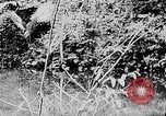 Image of Ho Chi Minh rides pony on jungle trail Vietnam, 1942, second 23 stock footage video 65675044087