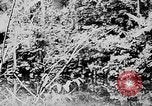 Image of Ho Chi Minh rides pony on jungle trail Vietnam, 1942, second 24 stock footage video 65675044087