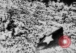 Standbild Ho Chi Minh Hanoi Vietnam, 1945, aus Sekunde 28 historischem Filmmaterial Videoclip 65675044088