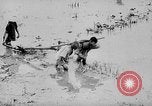 Standbild Phan Dinh Phung Vietnam, 1945, aus Sekunde 15 historischem Filmmaterial Videoclip 65675044091