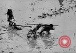Standbild Phan Dinh Phung Vietnam, 1945, aus Sekunde 20 historischem Filmmaterial Videoclip 65675044091