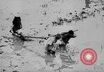 Standbild Phan Dinh Phung Vietnam, 1945, aus Sekunde 22 historischem Filmmaterial Videoclip 65675044091