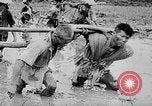 Standbild Phan Dinh Phung Vietnam, 1945, aus Sekunde 24 historischem Filmmaterial Videoclip 65675044091