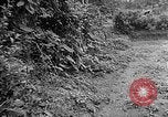 Immagine di Soldati Il Vietnam, 1950, secondo 58 filmato di repertorio 65675044093