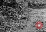 Immagine di Soldati Il Vietnam, 1950, secondo 59 filmato di repertorio 65675044093