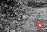 Immagine di Soldati Il Vietnam, 1950, secondo 60 filmato di repertorio 65675044093