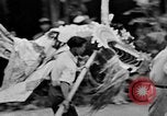 Image of Vietnamese children run to see event Vietnam, 1954, second 57 stock footage video 65675044095
