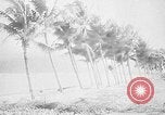 Image of Event honoring Ho Chi Minh Vietnam, 1954, second 1 stock footage video 65675044097