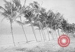Image of Event honoring Ho Chi Minh Vietnam, 1954, second 3 stock footage video 65675044097