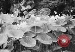 Image of Event honoring Ho Chi Minh Vietnam, 1954, second 5 stock footage video 65675044097