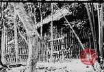 Image of Ho Chi Minh Vietnam, 1954, second 20 stock footage video 65675044098