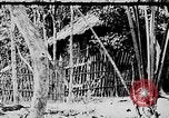 Image of Ho Chi Minh Vietnam, 1954, second 21 stock footage video 65675044098