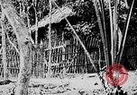 Image of Ho Chi Minh Vietnam, 1954, second 22 stock footage video 65675044098