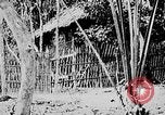 Image of Ho Chi Minh Vietnam, 1954, second 23 stock footage video 65675044098
