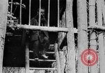 Image of Ho Chi Minh Vietnam, 1954, second 3 stock footage video 65675044099