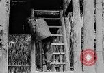 Image of Ho Chi Minh Vietnam, 1954, second 8 stock footage video 65675044099