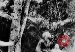 Image of Ho Chi Minh Vietnam, 1954, second 15 stock footage video 65675044099