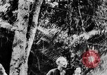 Image of Ho Chi Minh Vietnam, 1954, second 16 stock footage video 65675044099