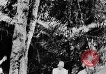 Image of Ho Chi Minh Vietnam, 1954, second 18 stock footage video 65675044099
