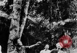 Image of Ho Chi Minh Vietnam, 1954, second 19 stock footage video 65675044099