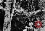 Image of Ho Chi Minh Vietnam, 1954, second 20 stock footage video 65675044099