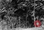 Image of Ho Chi Minh Vietnam, 1954, second 22 stock footage video 65675044099
