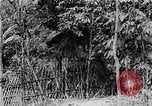 Image of Ho Chi Minh Vietnam, 1954, second 23 stock footage video 65675044099