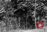 Image of Ho Chi Minh Vietnam, 1954, second 24 stock footage video 65675044099