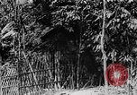 Image of Ho Chi Minh Vietnam, 1954, second 25 stock footage video 65675044099