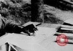 Image of Ho Chi Minh Vietnam, 1954, second 31 stock footage video 65675044099