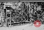 Image of Ho Chi Minh Vietnam, 1954, second 40 stock footage video 65675044099