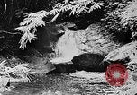 Image of Ho Chi Minh Vietnam, 1954, second 3 stock footage video 65675044100