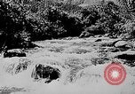 Image of Ho Chi Minh Vietnam, 1954, second 5 stock footage video 65675044100