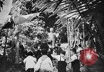 Image of Ho Chi Minh Vietnam, 1954, second 7 stock footage video 65675044100