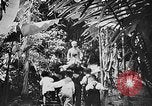 Image of Ho Chi Minh Vietnam, 1954, second 8 stock footage video 65675044100