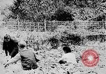 Image of Ho Chi Minh Vietnam, 1954, second 24 stock footage video 65675044100