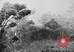 Image of Rainy season in Vietnam Vietnam, 1954, second 3 stock footage video 65675044101