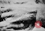 Image of General elections in North Vietnam Vietnam, 1960, second 33 stock footage video 65675044105